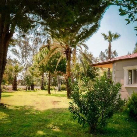 أنامور Aslihan Motel المظهر الخارجي الصورة