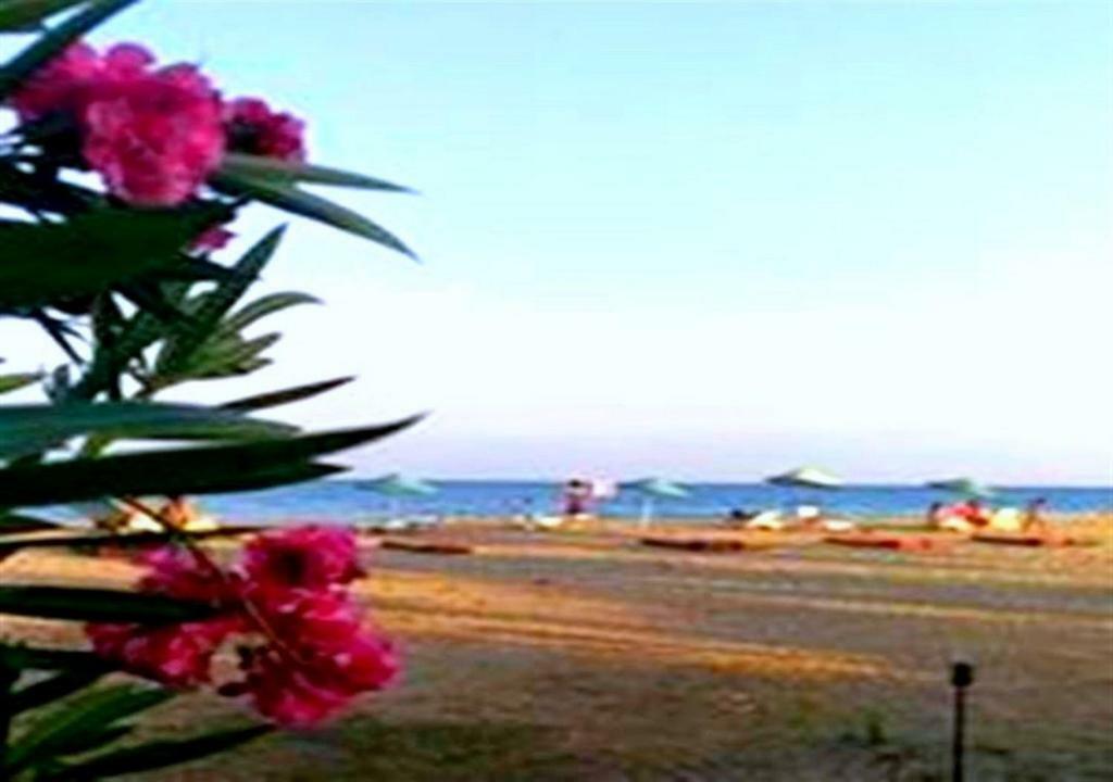 أنامور Aslihan Motel المظهر الخارجي الصورة