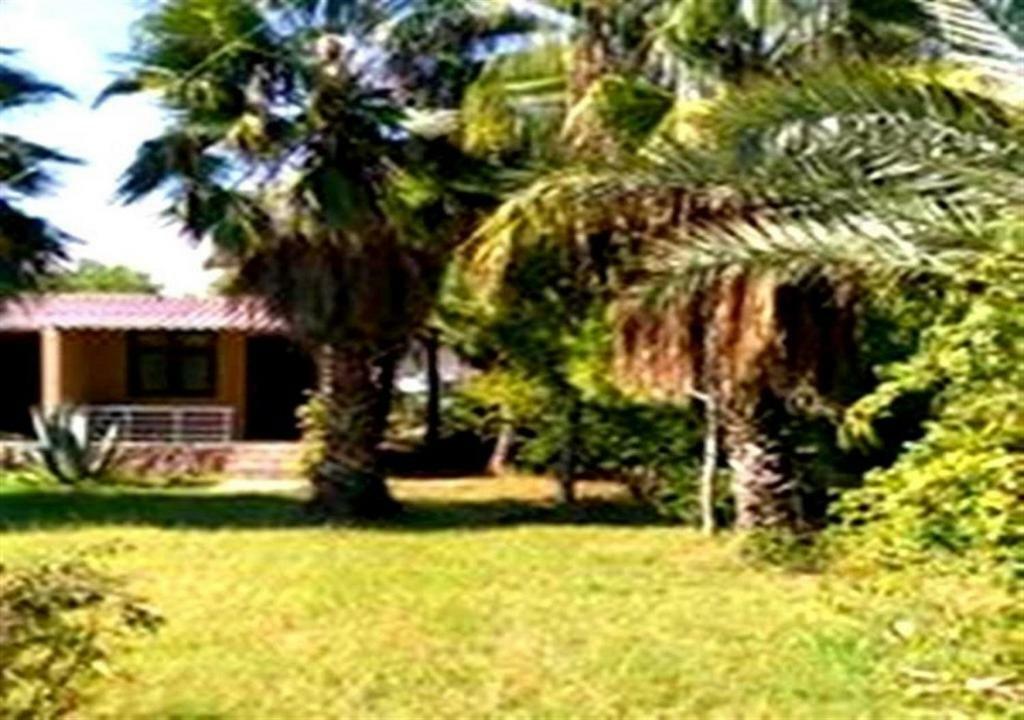 أنامور Aslihan Motel المظهر الخارجي الصورة